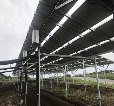 system montażu farmy słonecznej, japonia