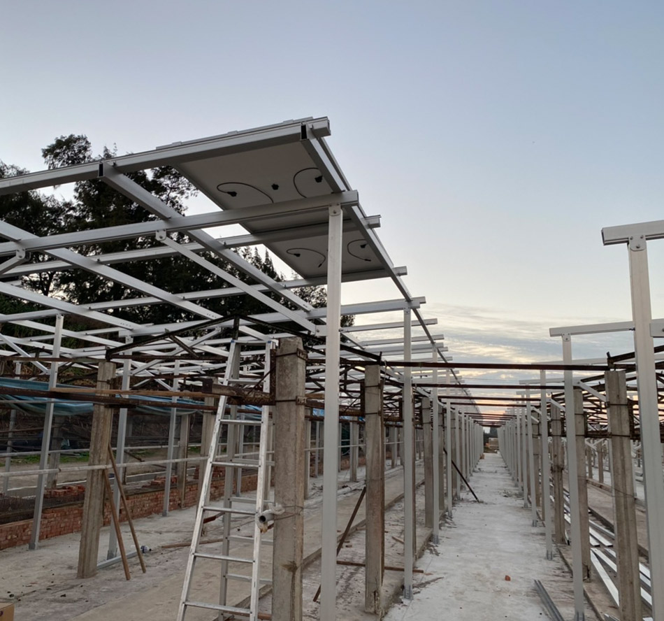 Pierwsza ferma kurczaków z systemem montażu słonecznego firmy Xiamen Huge Energy na Tajwanie